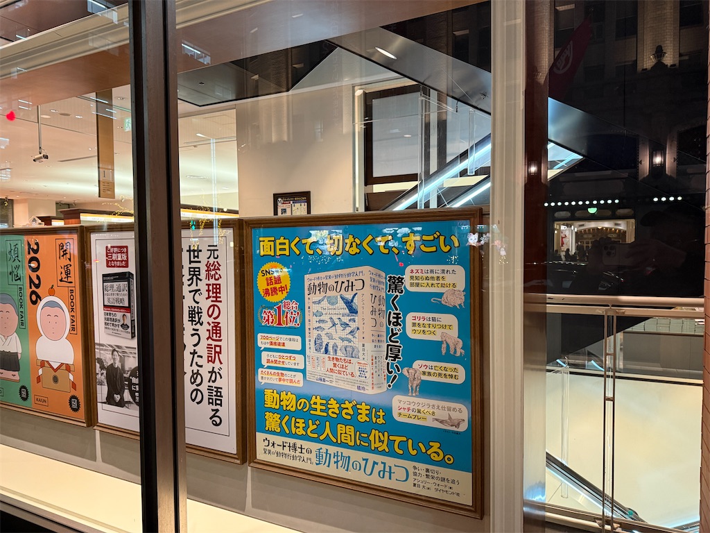 f:id:dnatsume:20251219225611j:image