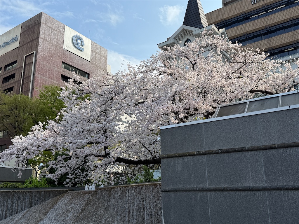 f:id:dnatsume:20260330160840j:image