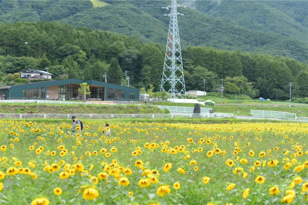 f:id:dndrf213:20210828235450j:image f:id:dndrf213:20210828235450j:image