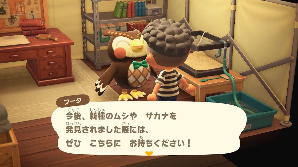 f:id:do-butsunomori:20200322131332j:plain f:id:do-butsunomori:20200322131332j:plain