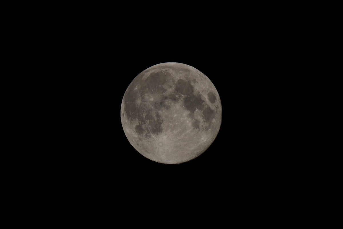 Wolf Moon(狼月) - 海の見える丘から