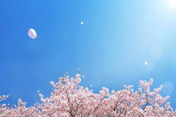 f:id:doanobule:20211108055114p:plain