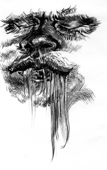 f:id:dobochon:20081202150643j:image