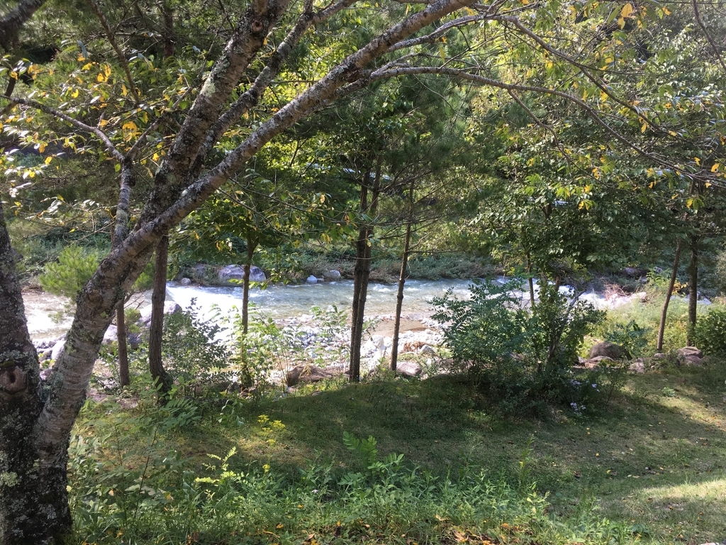 f:id:dobokutanuki:20180924182200j:plain f:id:dobokutanuki:20180924182200j:plain