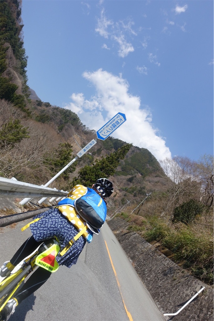 f:id:dobon96:20190408103745j:image