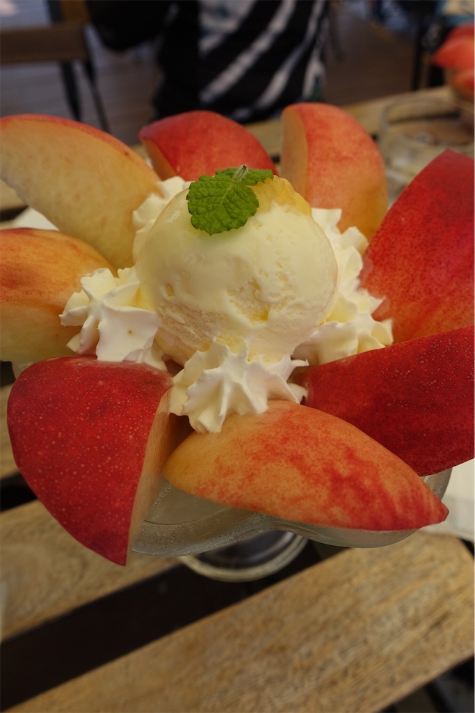 f:id:dobon96:20190806182448j:image