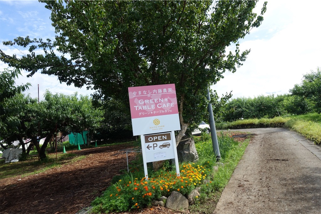 f:id:dobon96:20190806182558j:image