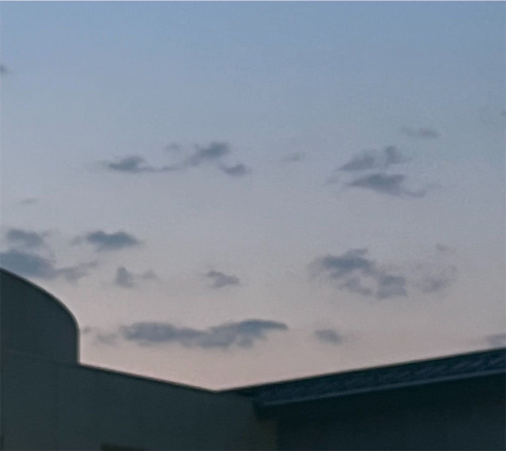 f:id:dobon96:20230309111638j:image