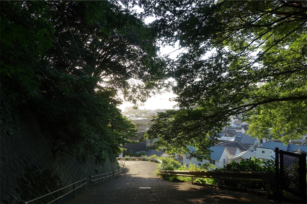 f:id:dobon96:20230821132214j:image