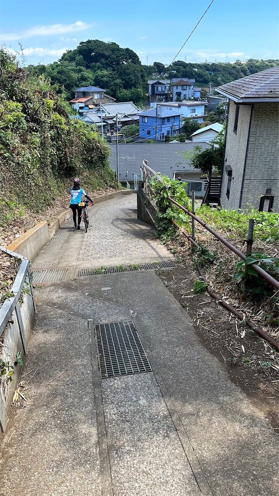 f:id:dobon96:20230828184007j:image