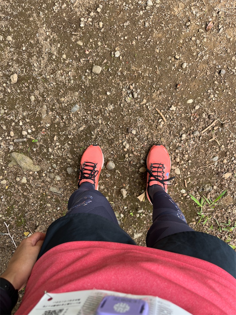 f:id:dobon96:20250616214128j:image