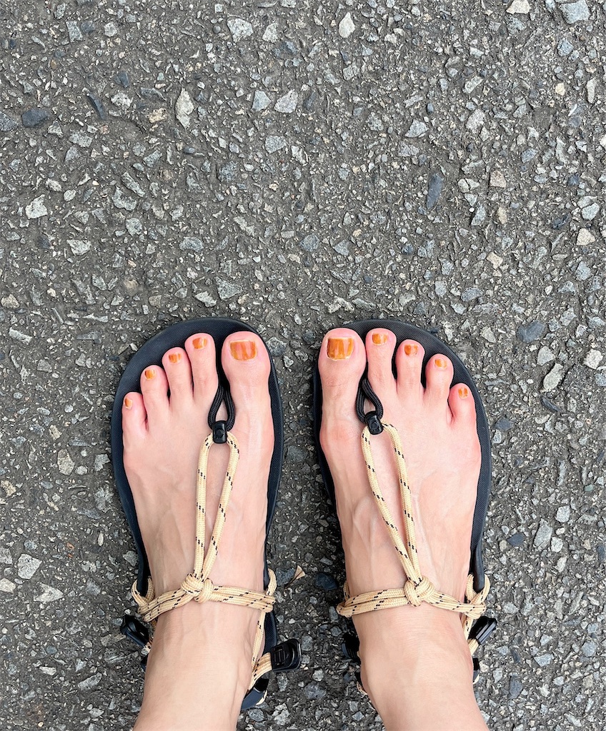 f:id:dobon96:20250617180345j:image