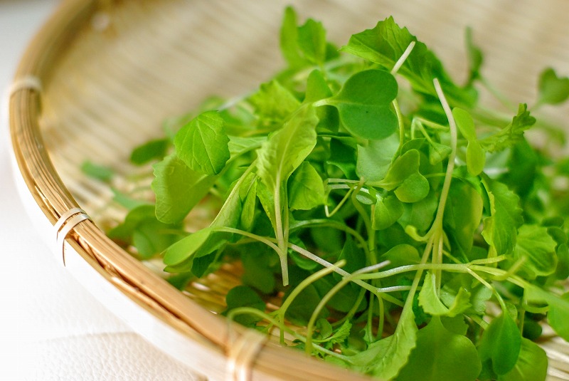 f:id:dobonkai:20150919110238j:plain