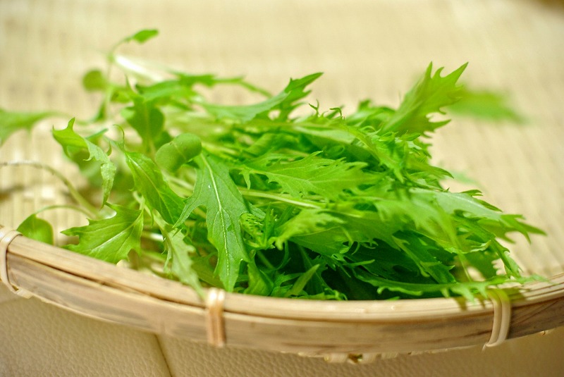 508円 63%以上節約 サカタのタネ 実咲野菜2970 水菜 千筋キョウナ 00922970 508円 63%以上節約 サカタのタネ 実咲野菜2970 水菜 千筋キョウナ 00922970