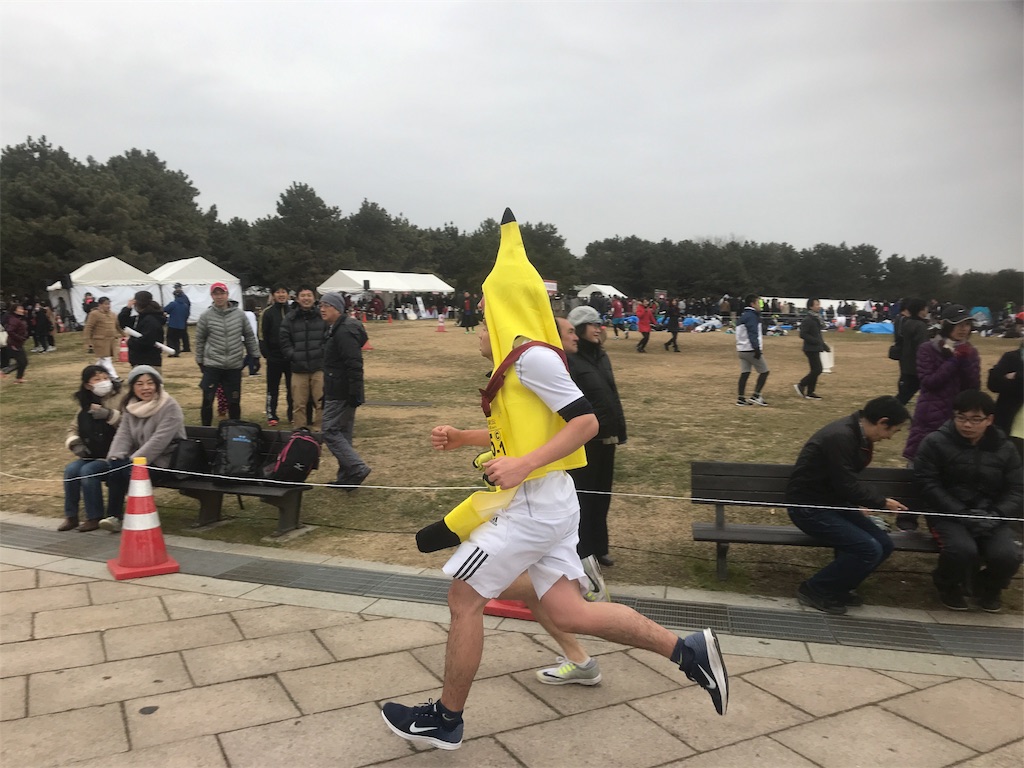 f:id:dobunezumidesu:20190116233916j:image f:id:dobunezumidesu:20190116233916j:image