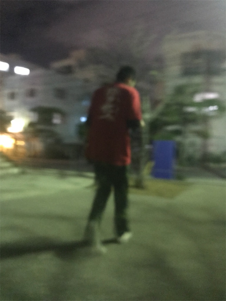 f:id:dobunezumidesu:20190128183124j:image f:id:dobunezumidesu:20190128183124j:image