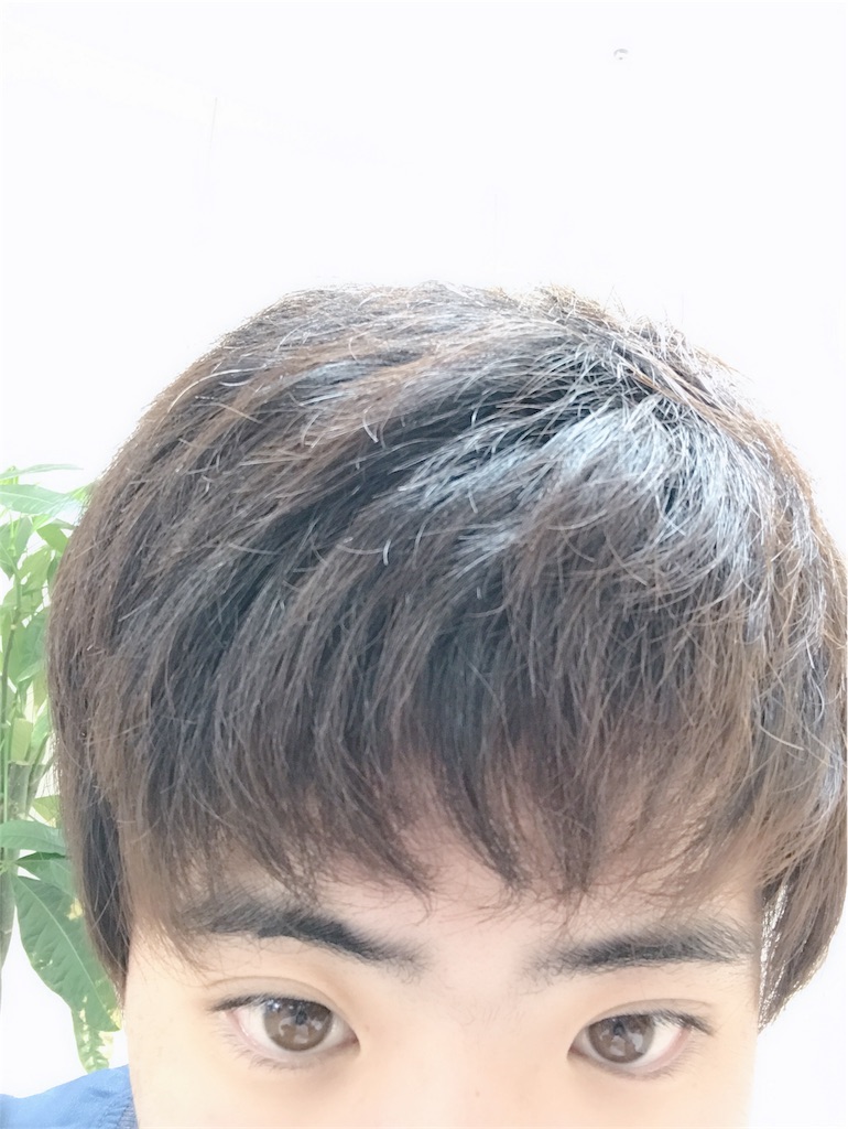 f:id:dobunezumidesu:20190220161839j:image f:id:dobunezumidesu:20190220161839j:image