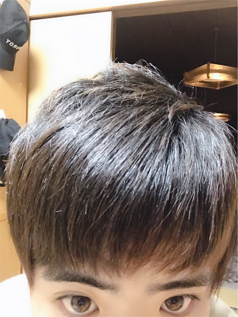 f:id:dobunezumidesu:20190220161843j:image f:id:dobunezumidesu:20190220161843j:image
