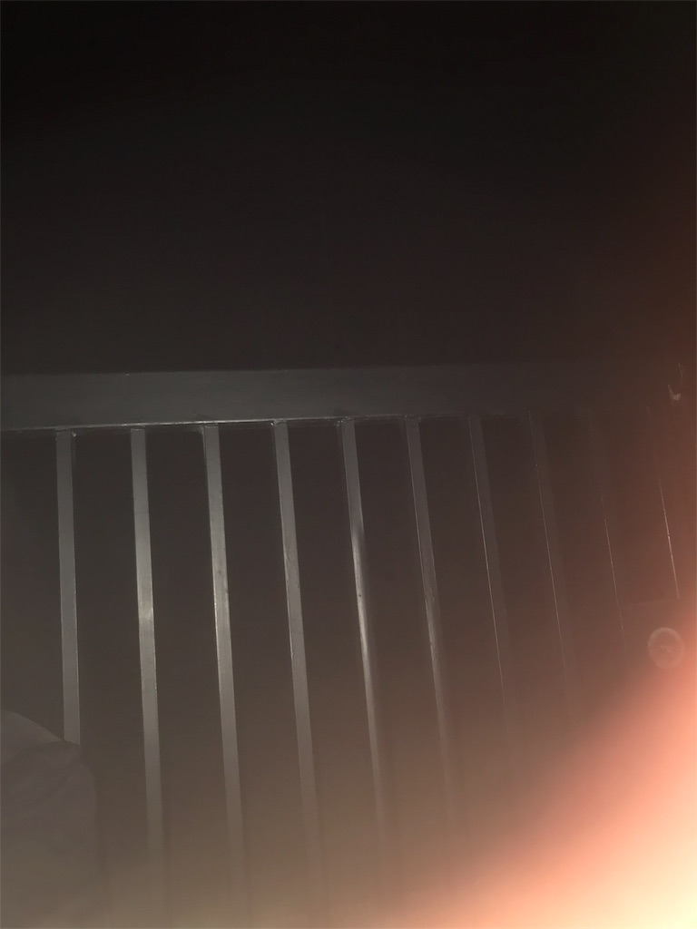 f:id:dobunezumidesu:20190507031455j:image f:id:dobunezumidesu:20190507031455j:image