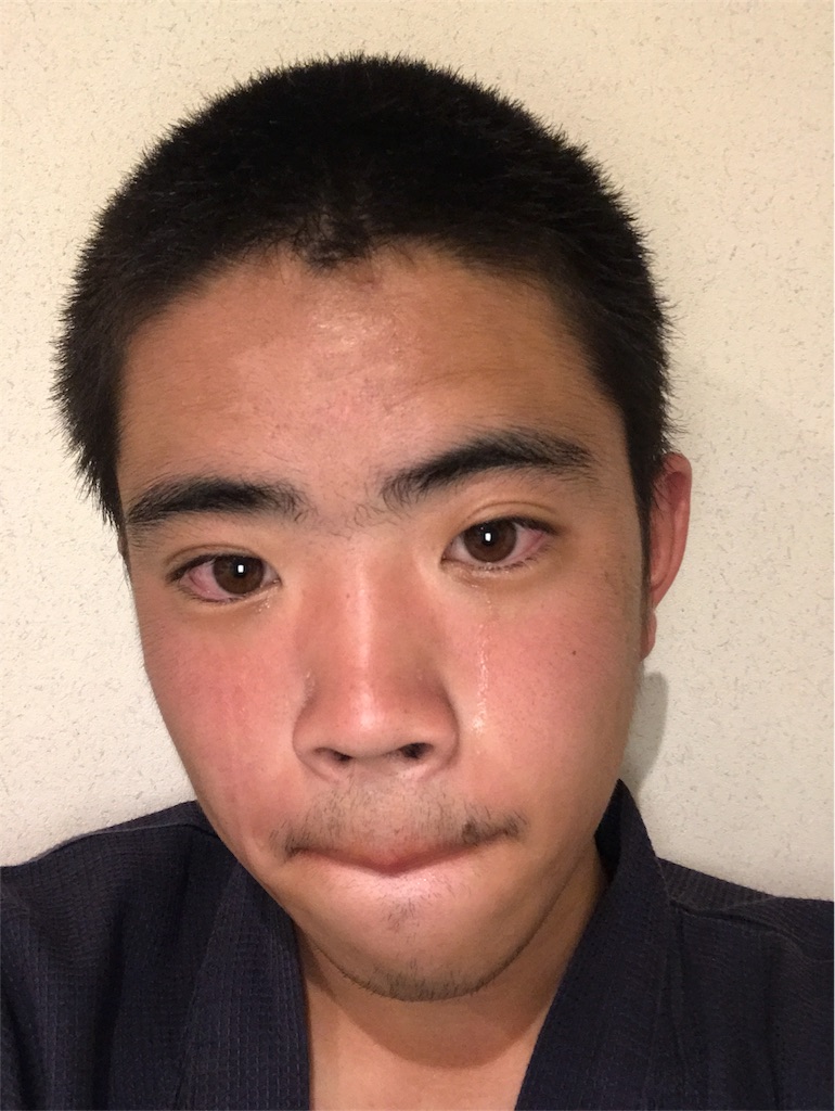 f:id:dobunezumidesu:20190528035115j:image f:id:dobunezumidesu:20190528035115j:image