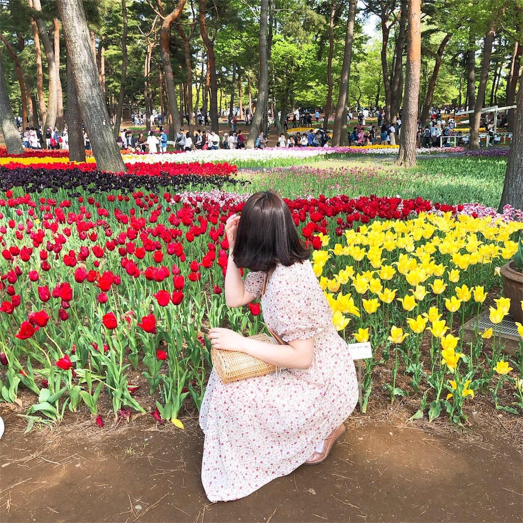 f:id:dobunezumidesu:20190607224753j:image f:id:dobunezumidesu:20190607224753j:image