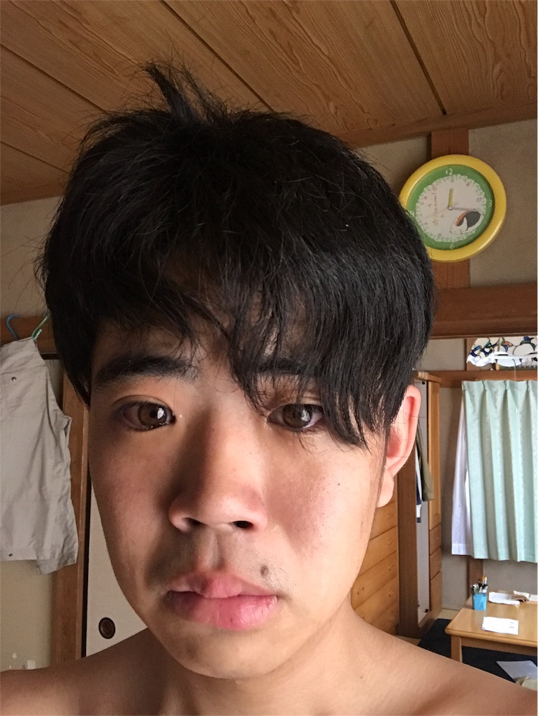 f:id:dobunezumidesu:20190608123258j:image f:id:dobunezumidesu:20190608123258j:image