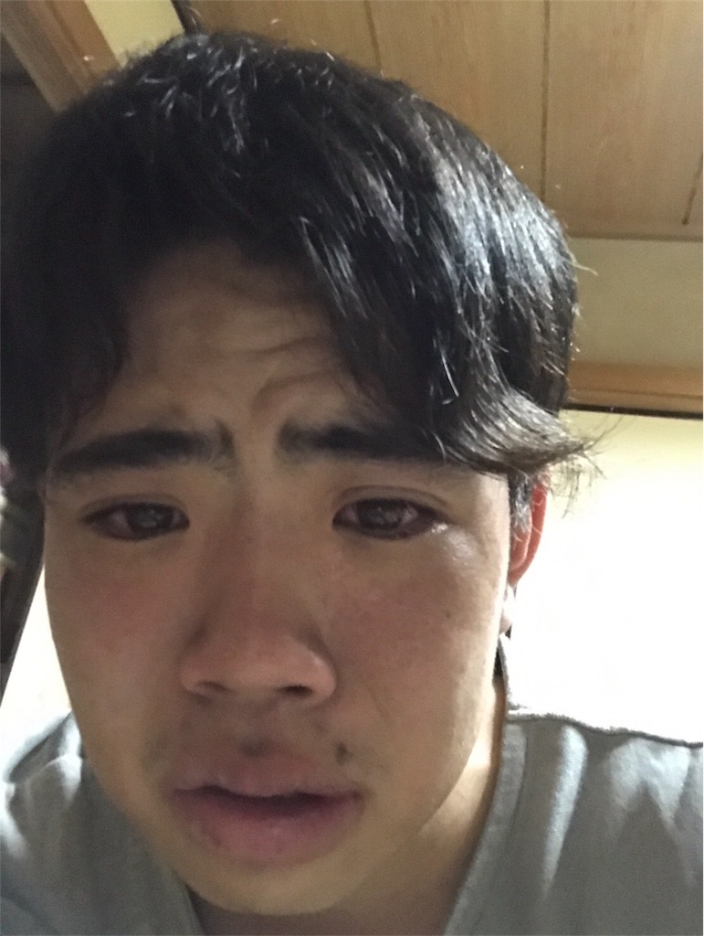 f:id:dobunezumidesu:20190714143302j:image f:id:dobunezumidesu:20190714143302j:image