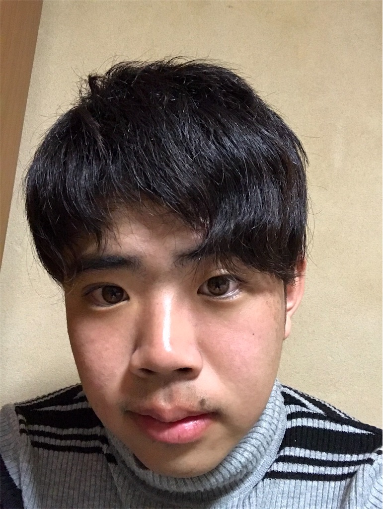 f:id:dobunezumidesu:20190714144906j:image f:id:dobunezumidesu:20190714144906j:image