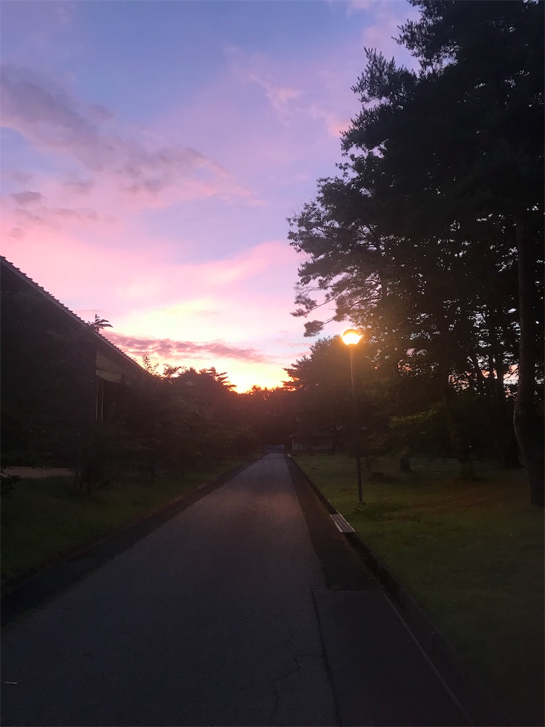 f:id:dobunezumidesu:20190810222851j:image f:id:dobunezumidesu:20190810222851j:image