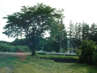 f:id:docan:20080615213711j:image f:id:docan:20080615213711j:image