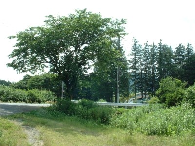 f:id:docan:20080615213712j:image f:id:docan:20080615213712j:image