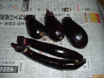 f:id:docan:20080724205844j:image