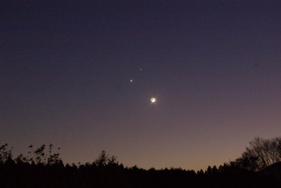 f:id:docan:20081201183908j:image