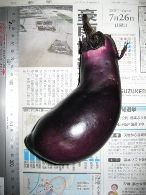 f:id:docan:20090726213123j:image