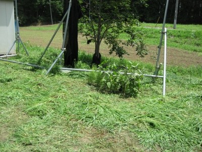 f:id:docan:20090726213125j:image