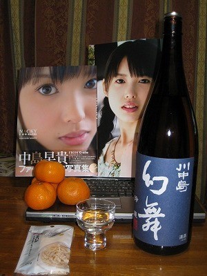 f:id:docan:20100205031253j:image