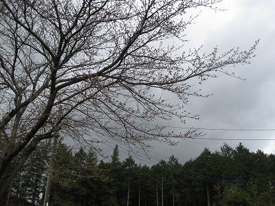 f:id:docan:20100403012125j:image