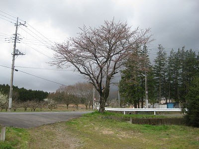 f:id:docan:20100403012126j:image