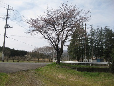 f:id:docan:20100403111423j:image