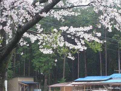 f:id:docan:20100412205326j:image