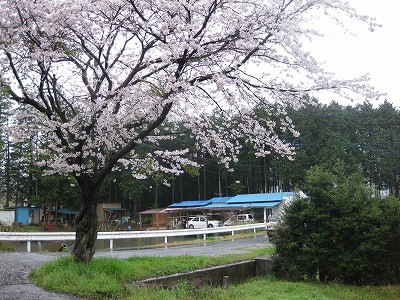 f:id:docan:20100412205328j:image