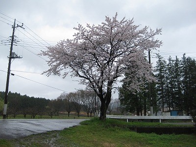 f:id:docan:20100412205330j:image
