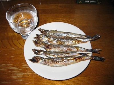 f:id:docan:20100707220411j:image