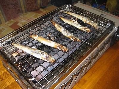 f:id:docan:20101115214519j:image