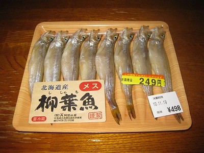f:id:docan:20101120011826j:image