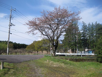 f:id:docan:20110421003852j:image