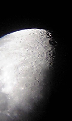 f:id:docan:20120201221704j:image