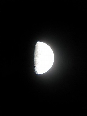 f:id:docan:20120202014002j:image