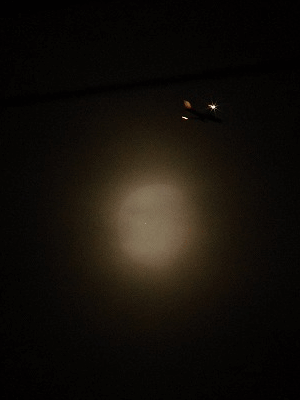 f:id:docan:20120604215341g:image f:id:docan:20120604215341g:image