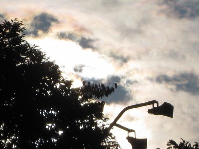 f:id:docan:20120709011012j:image